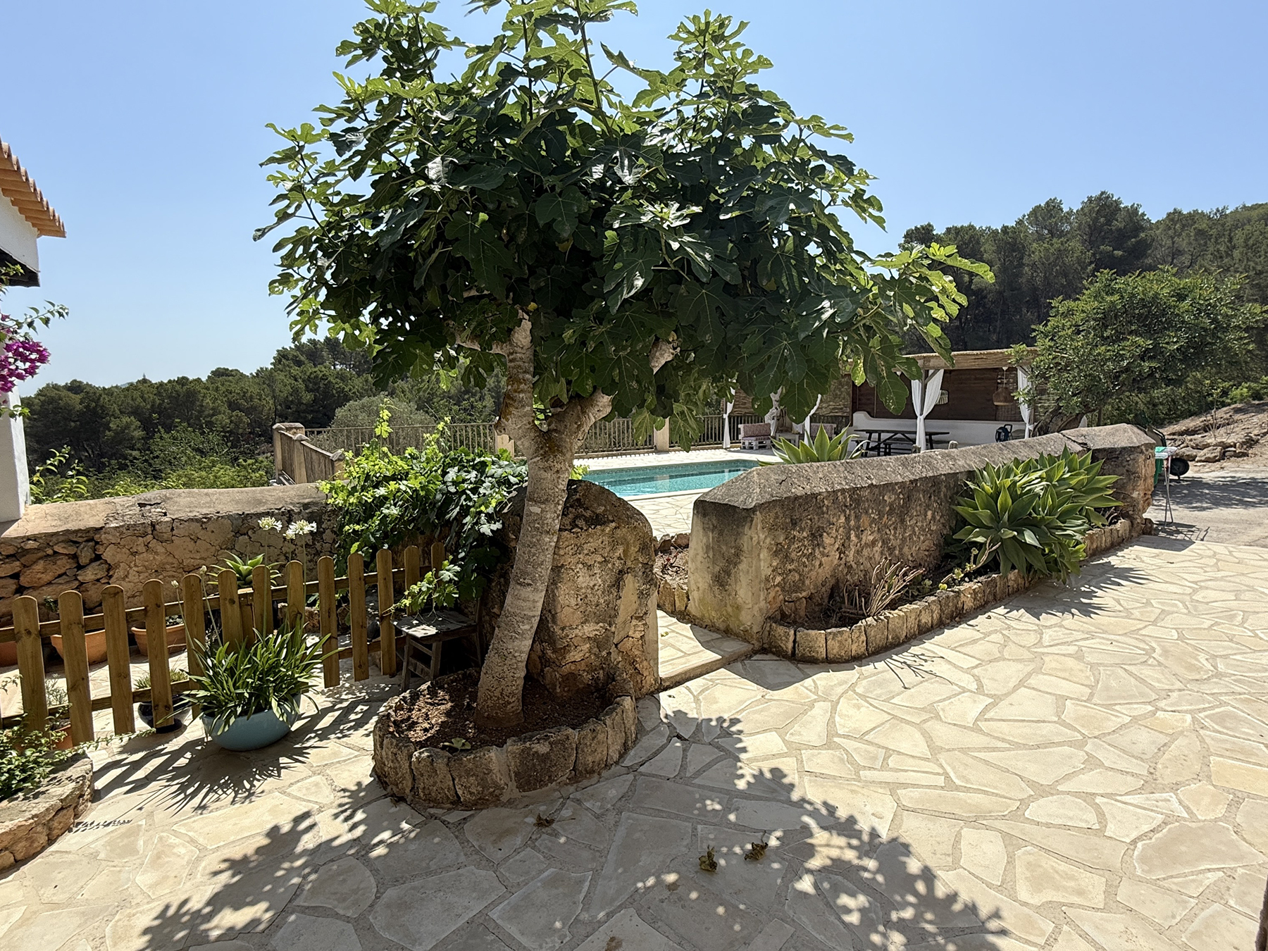 Resa Estates Ibiza koop  finca sale san augustin pool patio.jpeg